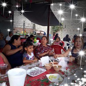 Meet your Posher, Bertha